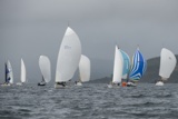 moonstruck too gbr4757r delta blue gbr7984t general marks whyw18 fri gjmc 9257w